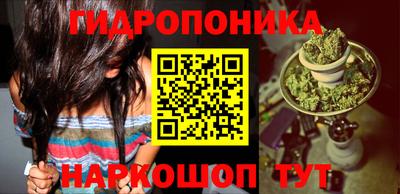 МДПВ Брянск