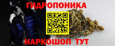 МДПВ Брянск