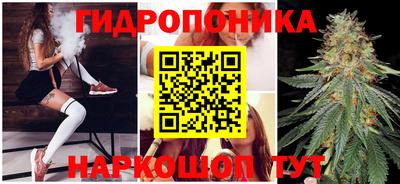 МДПВ Брянск